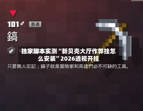独家脚本实测“新贝壳大厅作弊挂怎么安装”2026透视开挂-第3张图片
