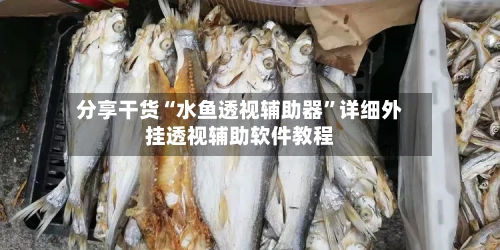 分享干货“水鱼透视辅助器”详细外挂透视辅助软件教程