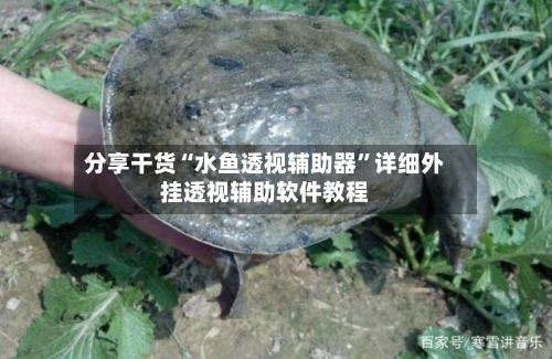 分享干货“水鱼透视辅助器”详细外挂透视辅助软件教程-第3张图片