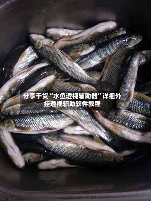 分享干货“水鱼透视辅助器	”详细外挂透视辅助软件教程-第2张图片