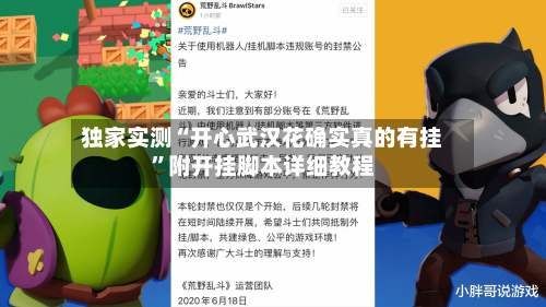 独家实测“开心武汉花确实真的有挂”附开挂脚本详细教程-第3张图片