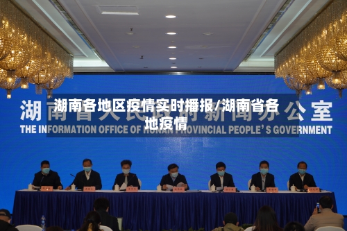 湖南各地区疫情实时播报/湖南省各地疫情-第2张图片