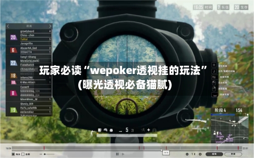 玩家必读“wepoker透视挂的玩法”(曝光透视必备猫腻)-第2张图片