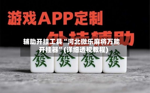 辅助开挂工具“河北微乐麻将万能开挂器”(详细透视教程)-第2张图片