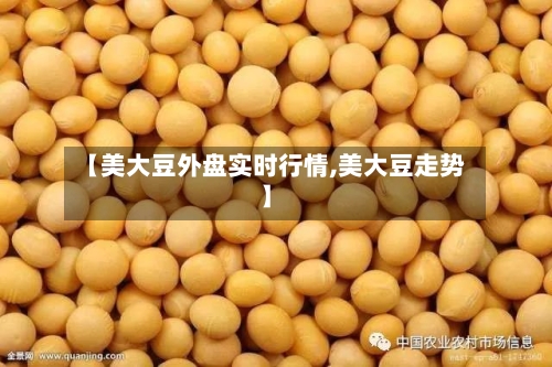 【美大豆外盘实时行情,美大豆走势】