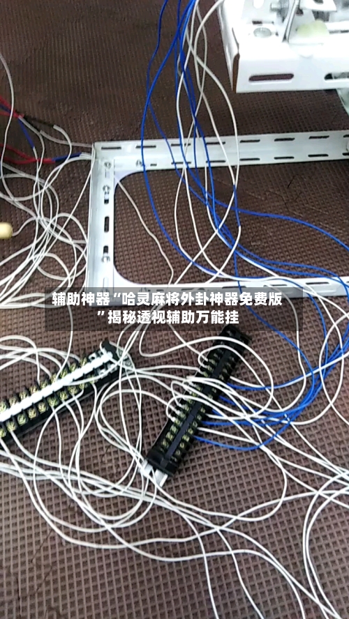 辅助神器“哈灵麻将外卦神器免费版”揭秘透视辅助万能挂