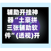 辅助开挂神器“土豪拼三张辅助软件”(透视)开挂辅助脚本+详细开挂安装教程-第2张图片
