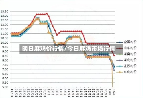明日麻鸡价行情/今日麻鸡市场行情-第2张图片