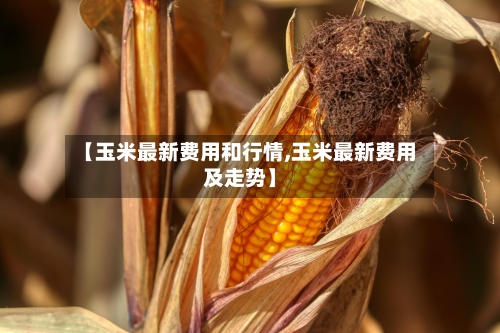 【玉米最新费用和行情,玉米最新费用及走势】-第2张图片