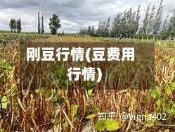 刚豆行情(豆费用行情)-第3张图片