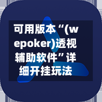 可用版本“(wepoker)透视辅助软件”详细开挂玩法-第2张图片