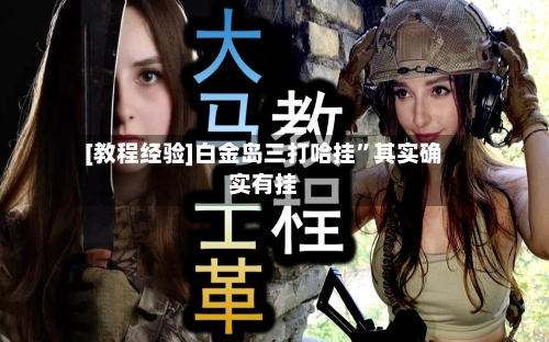[教程经验]白金岛三打哈挂”其实确实有挂-第2张图片