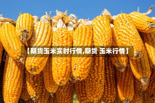 【期货玉米实时行情,期货 玉米行情】-第2张图片
