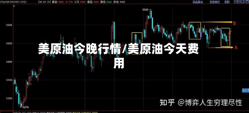 美原油今晚行情/美原油今天费用-第3张图片
