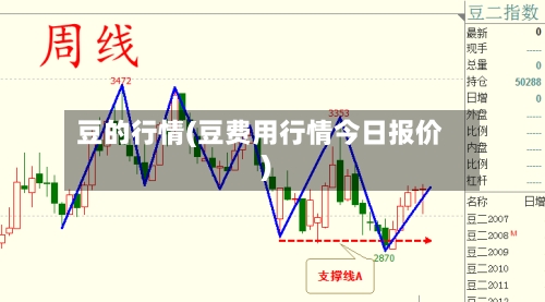 豆的行情(豆费用行情今日报价)