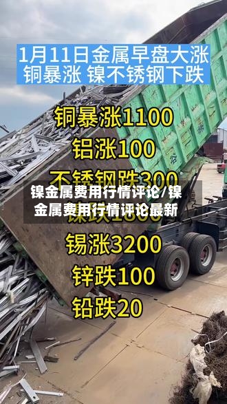 镍金属费用行情评论/镍金属费用行情评论最新-第3张图片