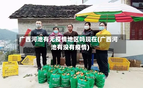 广西河池有无疫情地区吗现在(广西河池有没有疫情)