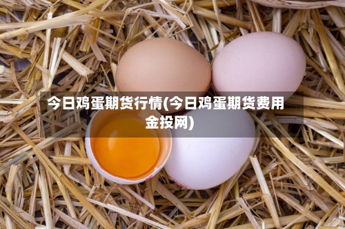 今日鸡蛋期货行情(今日鸡蛋期货费用金投网)-第2张图片