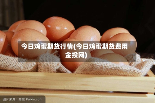 今日鸡蛋期货行情(今日鸡蛋期货费用金投网)
