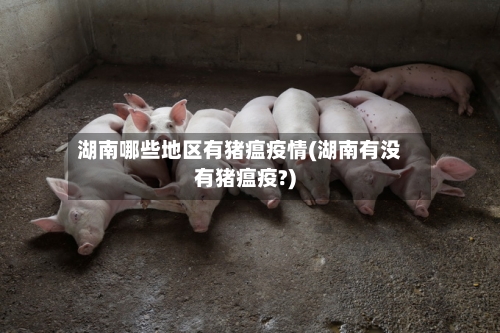 湖南哪些地区有猪瘟疫情(湖南有没有猪瘟疫?)