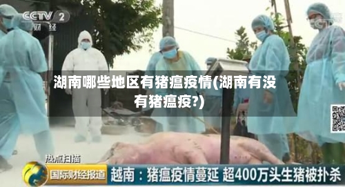 湖南哪些地区有猪瘟疫情(湖南有没有猪瘟疫?)-第2张图片