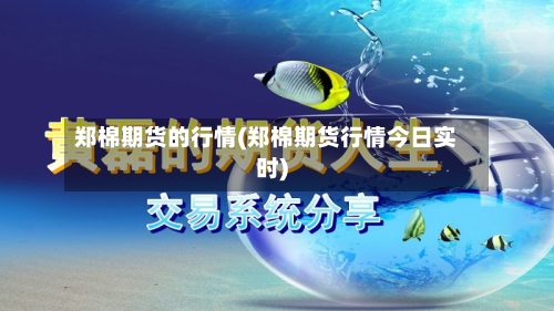 郑棉期货的行情(郑棉期货行情今日实时)-第3张图片
