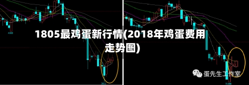 1805最鸡蛋新行情(2018年鸡蛋费用走势图)