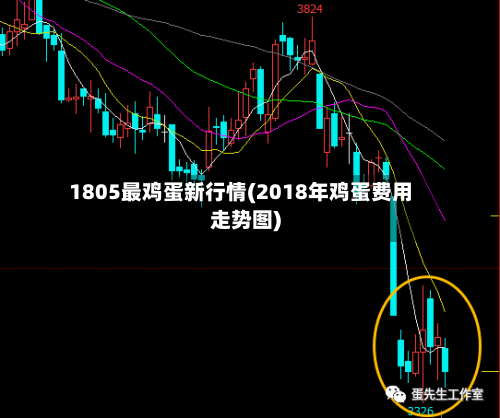 1805最鸡蛋新行情(2018年鸡蛋费用走势图)-第3张图片