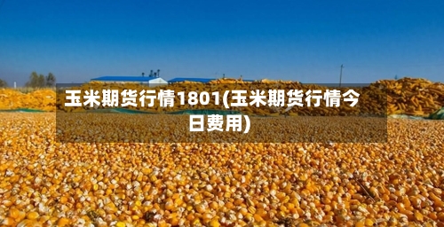 玉米期货行情1801(玉米期货行情今日费用)