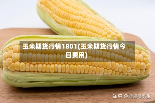 玉米期货行情1801(玉米期货行情今日费用)-第2张图片