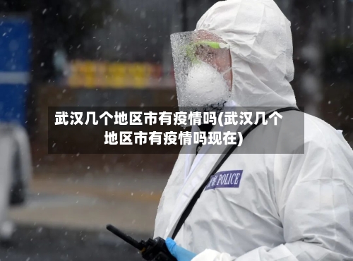武汉几个地区市有疫情吗(武汉几个地区市有疫情吗现在)