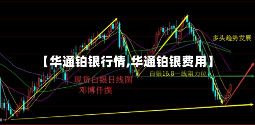 【华通铂银行情,华通铂银费用】