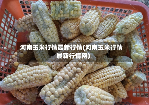 河南玉米行情最新行情(河南玉米行情最新行情网)