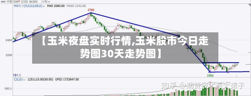 【玉米夜盘实时行情,玉米股市今日走势图30天走势图】