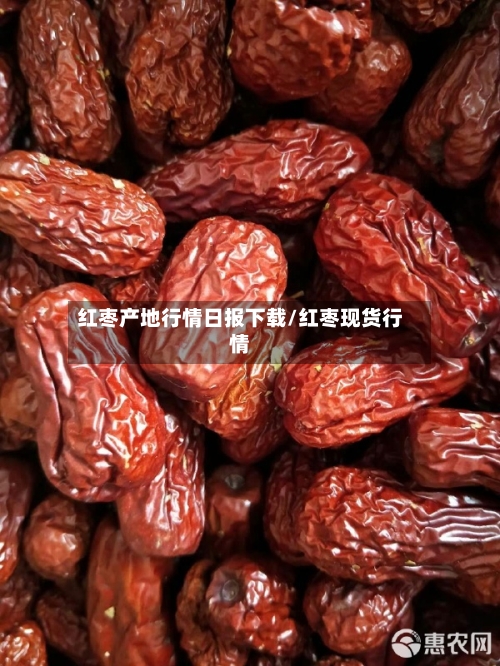 红枣产地行情日报下载/红枣现货行情