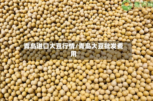 青岛进口大豆行情/青岛大豆批发费用-第3张图片