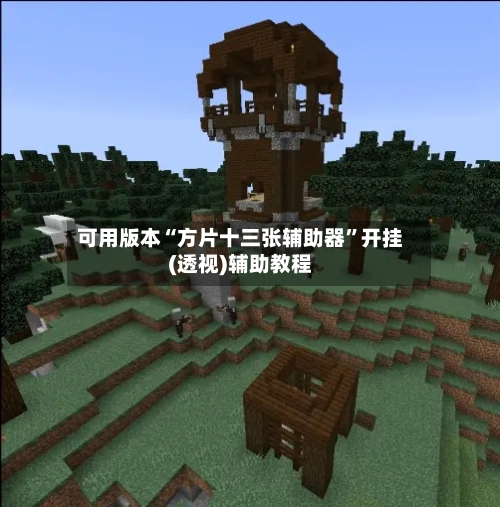 可用版本“方片十三张辅助器”开挂(透视)辅助教程-第2张图片