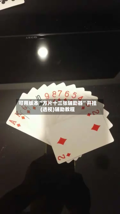 可用版本“方片十三张辅助器	”开挂(透视)辅助教程-第3张图片