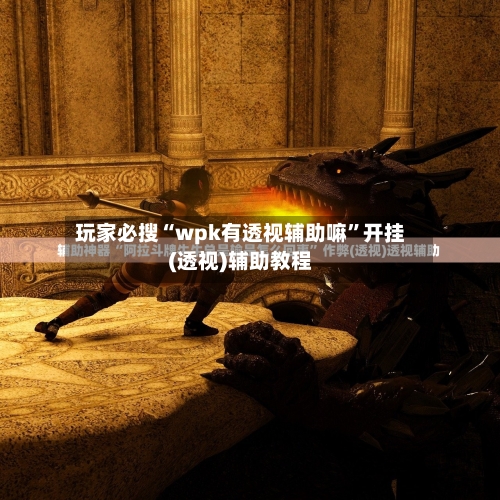玩家必搜“wpk有透视辅助嘛”开挂(透视)辅助教程-第3张图片
