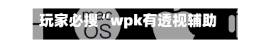 玩家必搜“wpk有透视辅助嘛	”开挂(透视)辅助教程-第2张图片
