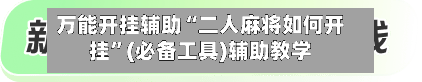 万能开挂辅助“二人麻将如何开挂”(必备工具)辅助教学-第2张图片