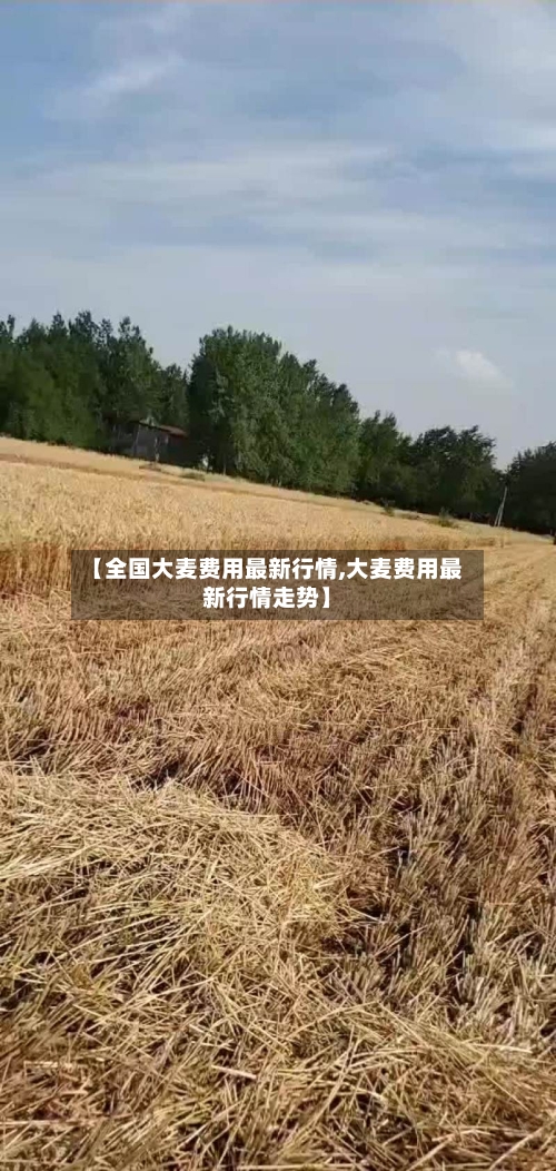 【全国大麦费用最新行情,大麦费用最新行情走势】-第2张图片