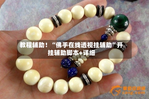 教程辅助！“佛手在线透视挂辅助”开挂辅助脚本+详细-第3张图片
