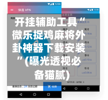 开挂辅助工具“微乐捉鸡麻将外卦神器下载安装”(曝光透视必备猫腻)-第3张图片