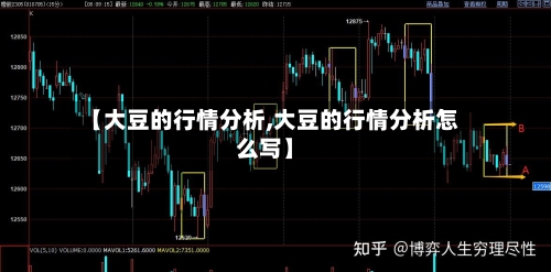 【大豆的行情分析,大豆的行情分析怎么写】
