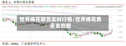 世界棉花期货实时行情/世界棉花费用走势图-第2张图片