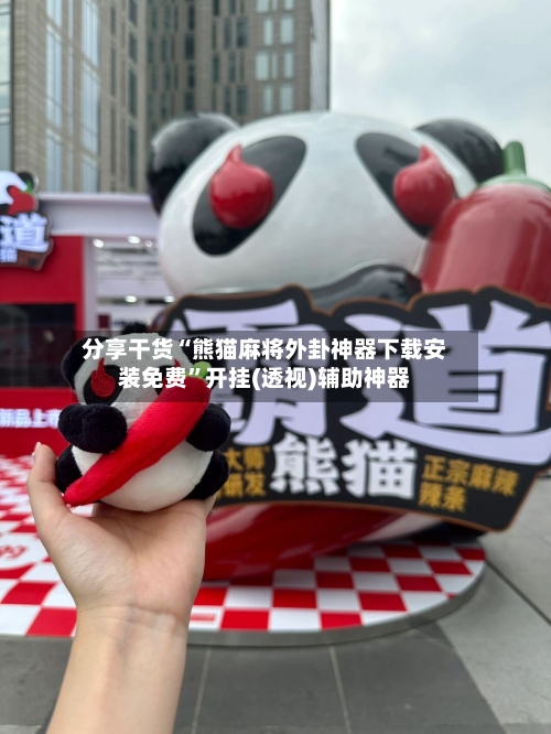 分享干货“熊猫麻将外卦神器下载安装免费”开挂(透视)辅助神器-第3张图片