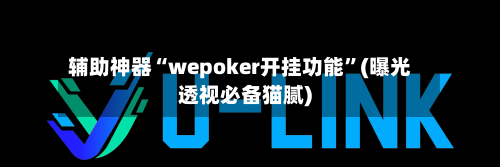 辅助神器“wepoker开挂功能”(曝光透视必备猫腻)-第3张图片