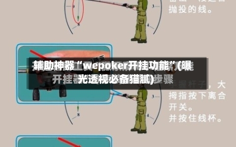辅助神器“wepoker开挂功能	”(曝光透视必备猫腻)-第2张图片