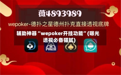辅助神器“wepoker开挂功能”(曝光透视必备猫腻)
